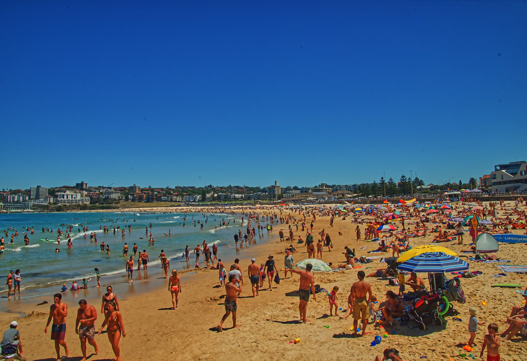 Bondi Conveyancing